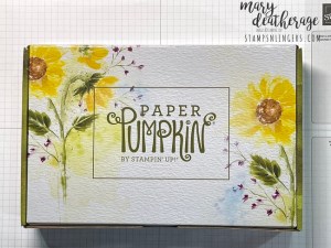 Stampin’ Up! Sweet Sunflowers August 2022 Paper Pumpkin!! | Stamps – n ...